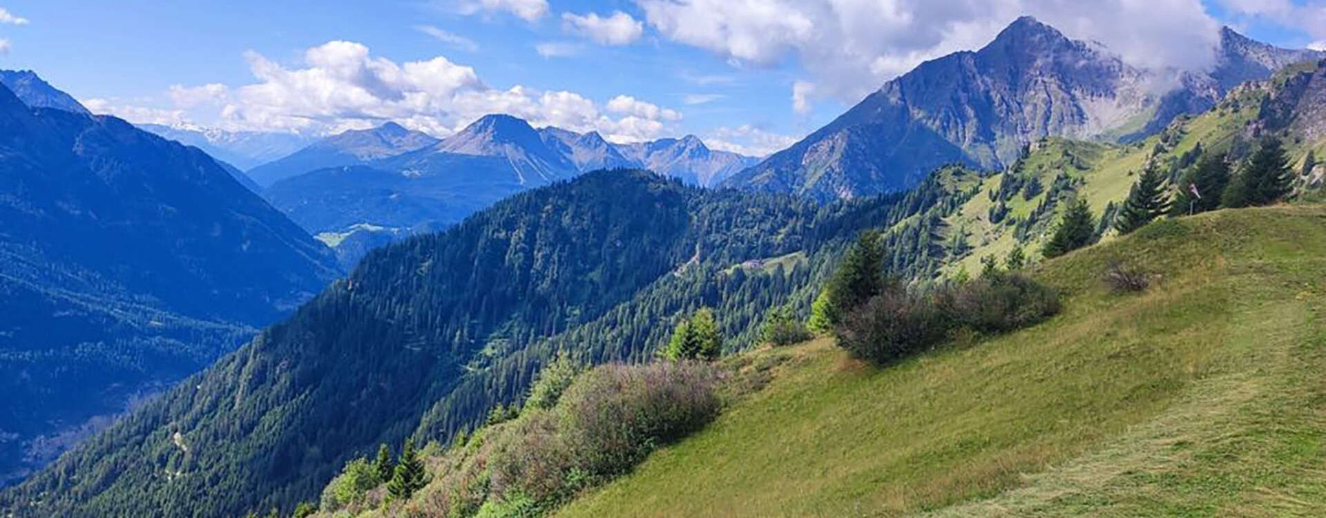 Ausblick auf das Tiroler Oberland im Sommer