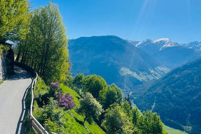 Aussicht im Sommer vom Gasthof Sonnenhof auf die Bergwelt des Tiroler Oberlands